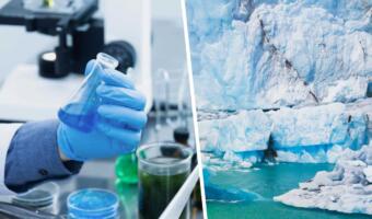 Учёные нашли во льдах 33 вируса, 28 из которых неизвестны человечеству