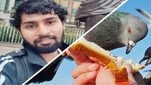 Студента оштрафовали за то, что он бросил лепёшку на землю, чтобы покормить голубя
