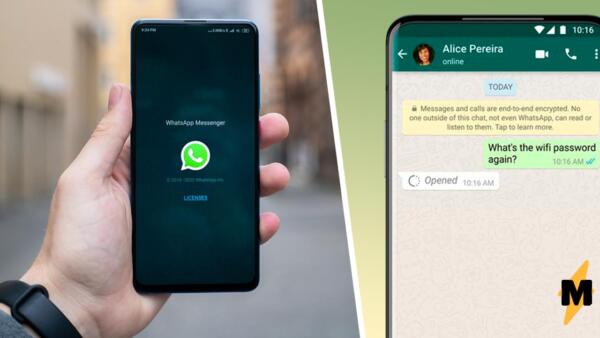 WhatsApp запустил новую функцию «исчезающие сообщения», которая доступна и в России
