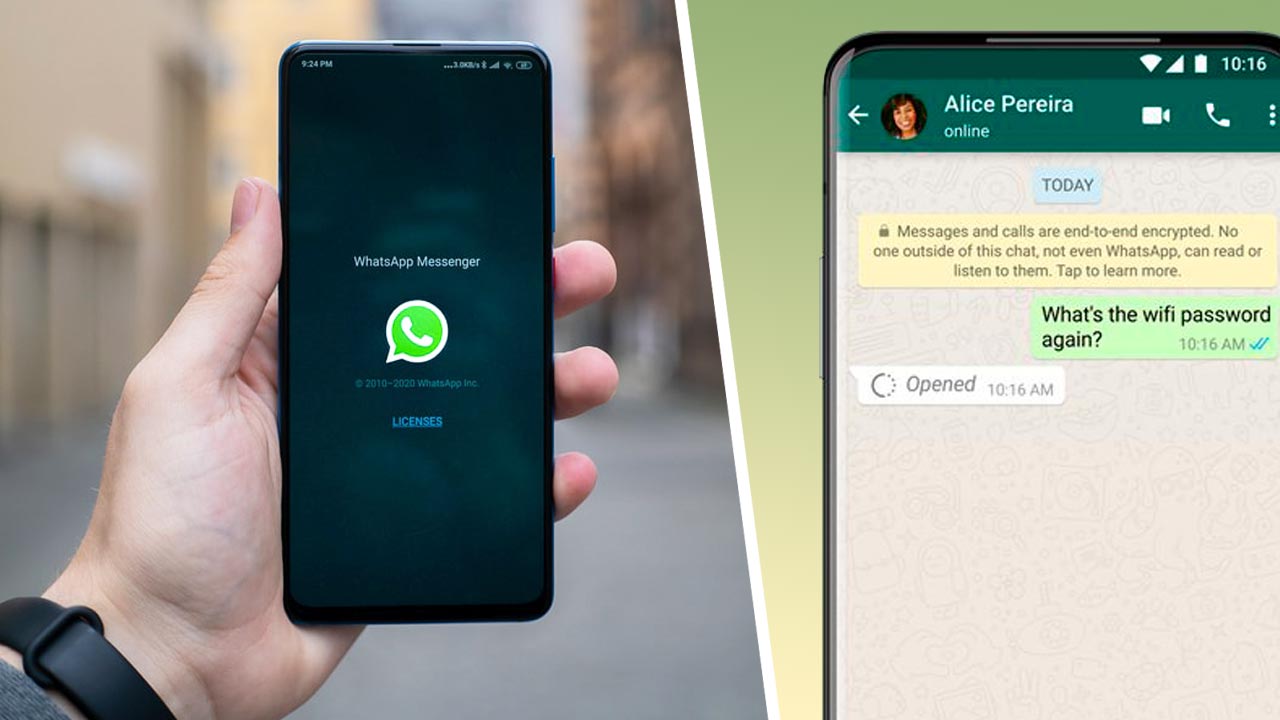 Как пользоваться функцией исчезающие сообщения в мессенджере WhatsApp