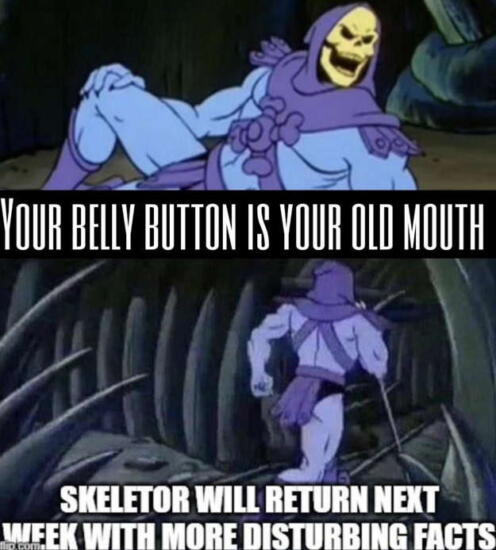 Мемный тренд Skeletor facts