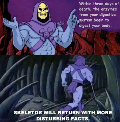 Мемный тренд Skeletor facts