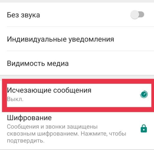 WhatsApp запустил новую функцию «исчезающие сообщения», которая доступна и в России
