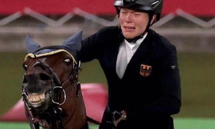 Лошадь Анники Шлеу, которая отказалась прыгать на соревнованиях, стала мемом