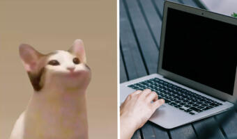 Что за сайт Popcat.сlick о меме Pop Cat. Пользователи Сети соревнуются, кто больше кликнет на кота