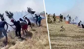 Жители Башкирии на видео тушат пожар ветками и ковриками для дома