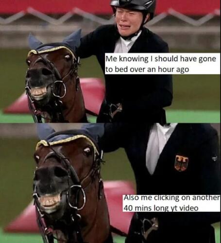 Лошадь Анники Шлеу, которая отказалась прыгать на соревнованиях, стала мемом