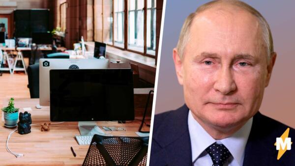 Нерабочую неделю в России, объявленную Владимиром Путиным, встретили грустными шутками. Бизнес жалко