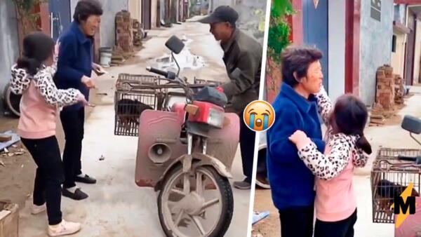 Девочка из Китая в слезах умоляла не продавать домашнего пса, но бабушка отдала его за 111 рублей