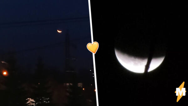 Лунное затмение покоряет российские соцсети. Пользователи Сети хвастаются снимками кровавой Луны