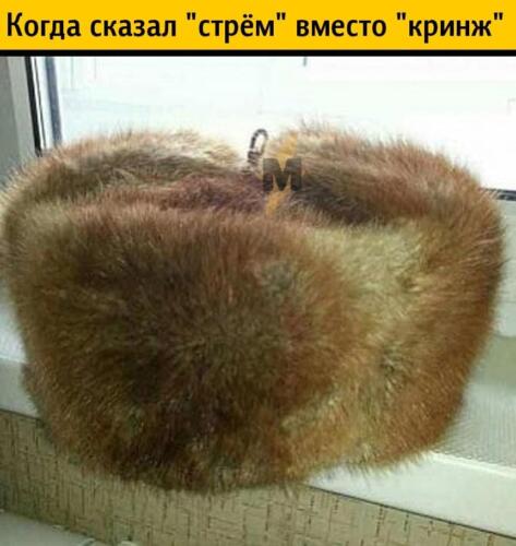 Как простая советская пыжиковая шапка стала шаблоном для мема в рунете. Лучший способ показать старение