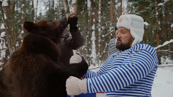 Иностранцы пожалели медведя, которого забороли россияне