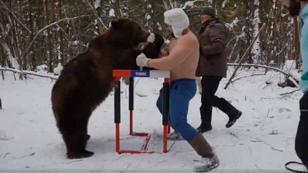 Иностранцы пожалели медведя, которого забороли россияне