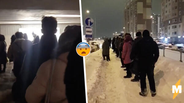 Как россияне объясняют огромные очереди на автобусы. Виноваты человейники, транспортные компании и снег