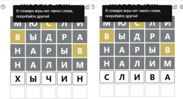 Каких русских слов нет в Wordle. Россияне не досчитались в игре "выдры" и "хычина"