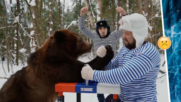 Иностранцы пожалели медведя, которого заборол Кирилл Сарычев.