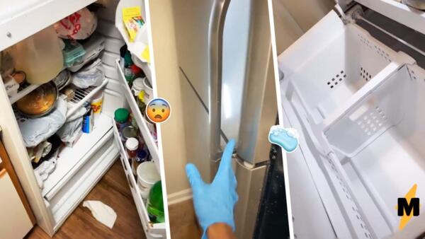 Как уборщик чистит грязные квартиры клиентов. На видео из холодильника с протухшей едой летят мухи