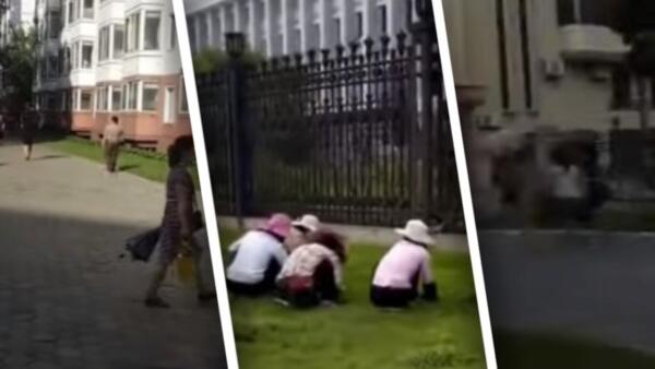 Россиянка показала жизнь в КНДР. Женщины руками стригут газон, а чистые улицы напомнили зрителям СССР
