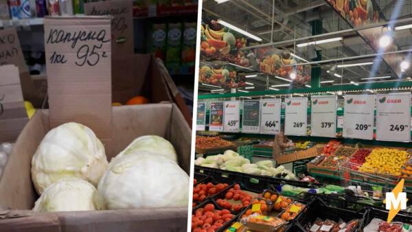 Выросшие цены на овощи поразили россиян. На фото из магазина "О'КЕЙ" помидоры стоят "как на Севере"