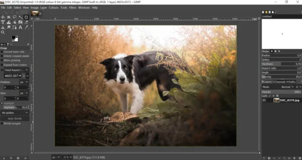 Дизайнеры предлагают заменить Adobe Photoshop на GIMP. Рассказываем о плюсах приложения
