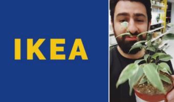 Как живёт IKEA в России после закрытия. Сотрудники получают зарплату, а живые растения спасены