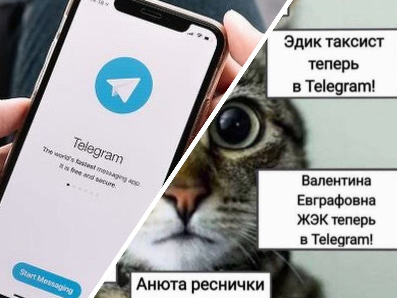 Что за мем Теперь в Telegram о контактах со смешными именами в мессенджере