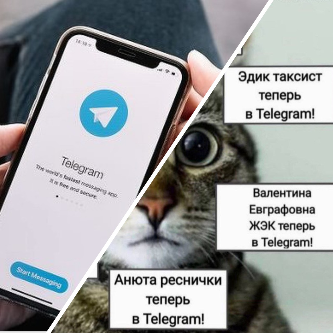 Что за мем Теперь в Telegram о контактах со смешными именами в мессенджере