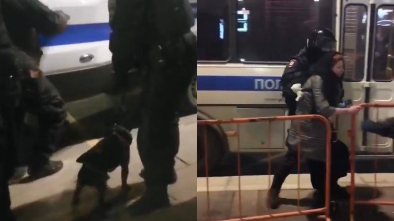 На антивоенном митинге в Санкт-Петербурге ОМОН задержал собаку. На видео — несут пса в автозак