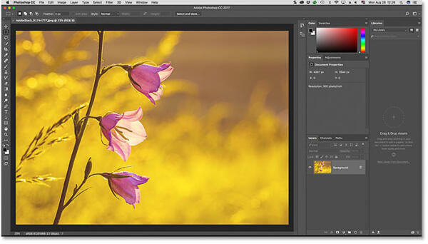 Дизайнеры предлагают заменить Adobe Photoshop на GIMP. Рассказываем о плюсах приложения