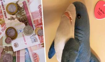 Россияне спекулируют акулой из «Икеа» на «Авито». За игрушку в 1499 ₽ просят в три раза больше