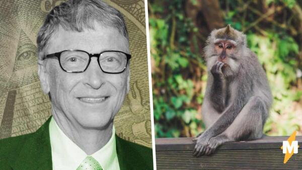 В распространении оспы обезьян обвиняют Билла Гейтса. Как передаётся инфекция, которую предсказал миллиардер