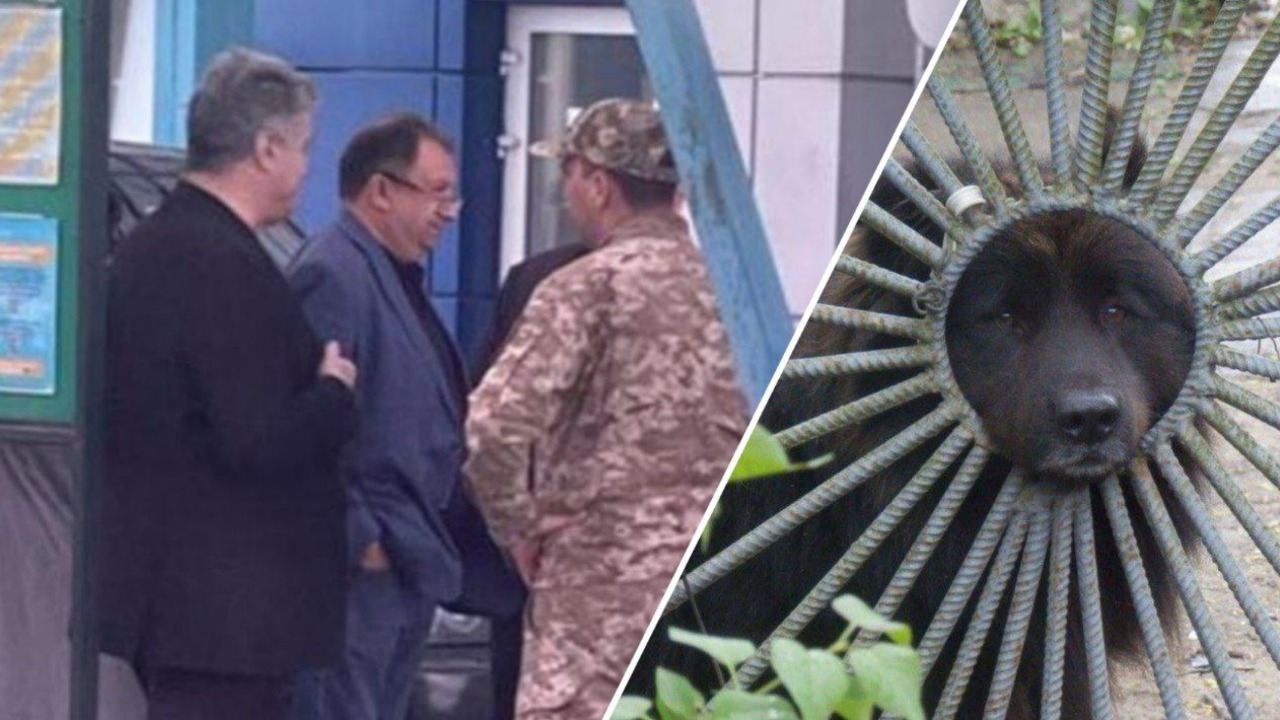 Почему Пётр Порошенко пытался покинуть Украину. В Сети видят причину в показаниях Виктора Медведчука