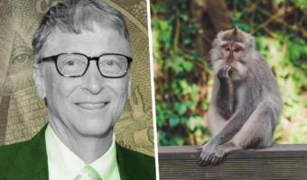 Конспирологи связали распространение оспы обезьян и Билла Гейтса. Нашли «предсказание» в его интервью