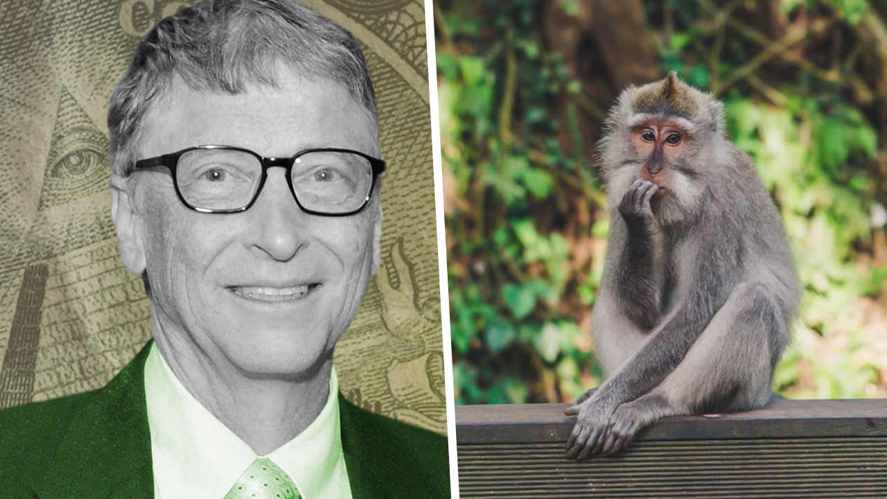 Конспирологи связали распространение оспы обезьян и Билла Гейтса. Нашли «предсказание» в его интервью