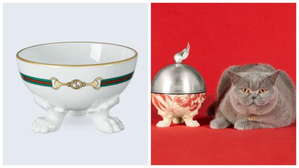 Gucci выпустил кошачьи миски на зависть хозяевам. К посуде за 30 000 ₽ продают крышку за 47 000 ₽