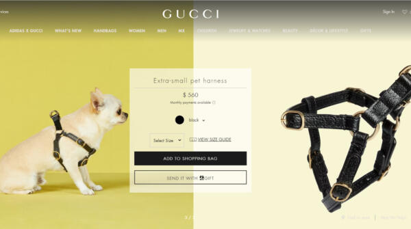 Gucci выпустил кошачьи миски на зависть хозяевам. К посуде за 30 000 рублей предлагают крышку за 895 $