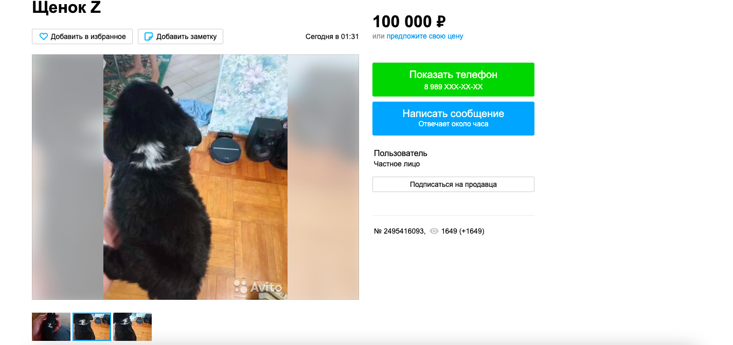 Продам на авито тюменская область