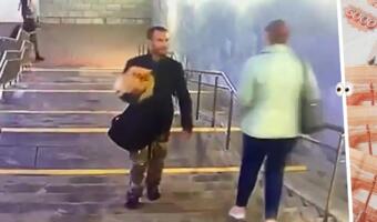 Вор в Москве украл из дома шпица. На вирусном видео вальяжно гуляет с довольным псом на руках