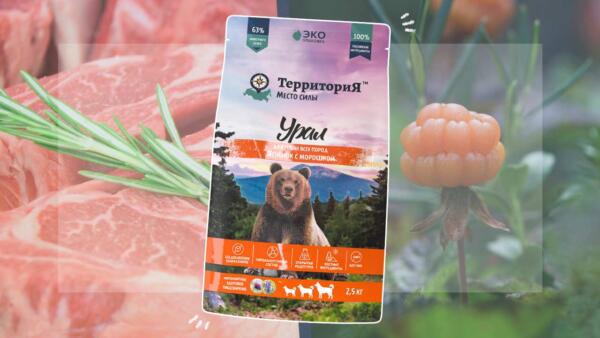 Личный опыт. Как придумать и запустить собственный бренд корма для животных в России