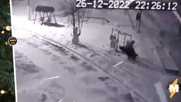 На видео россияне крадут ёлки из дворов и подъездов. В Санкт-Петербурге дерево выносят четверо