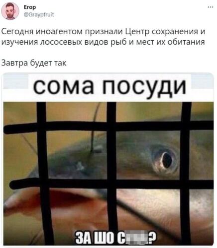 Мемы про лосось