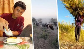 Мальчик-пастух из Казахстана прославился видео об одиночестве. В день рождения один ест торт и плачет