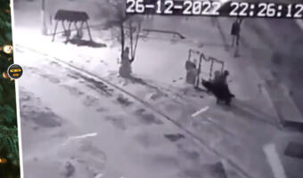На видео россияне крадут ёлки из дворов и подъездов. В Санкт-Петербурге дерево выносят четверо мужчин