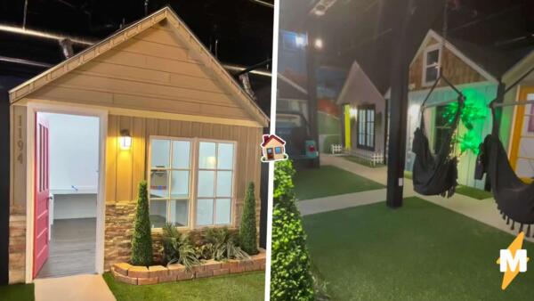 Вместо удалёнки — офис в кинодекорациях. Девушка показала крошечные дома в стиле Pixar на рабочем месте