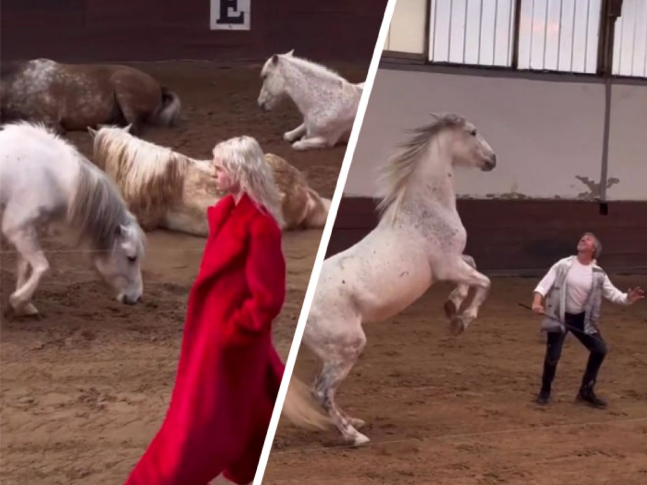 На показе Стеллы Маккартни в Париже выступали лошади на фоне моделей на  видео