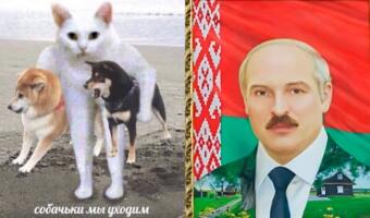 Вооружённый мятеж Пригожина попал в мемы. В них Лукашенко уговаривает главу ЧВК «Вагнер» выпить пива