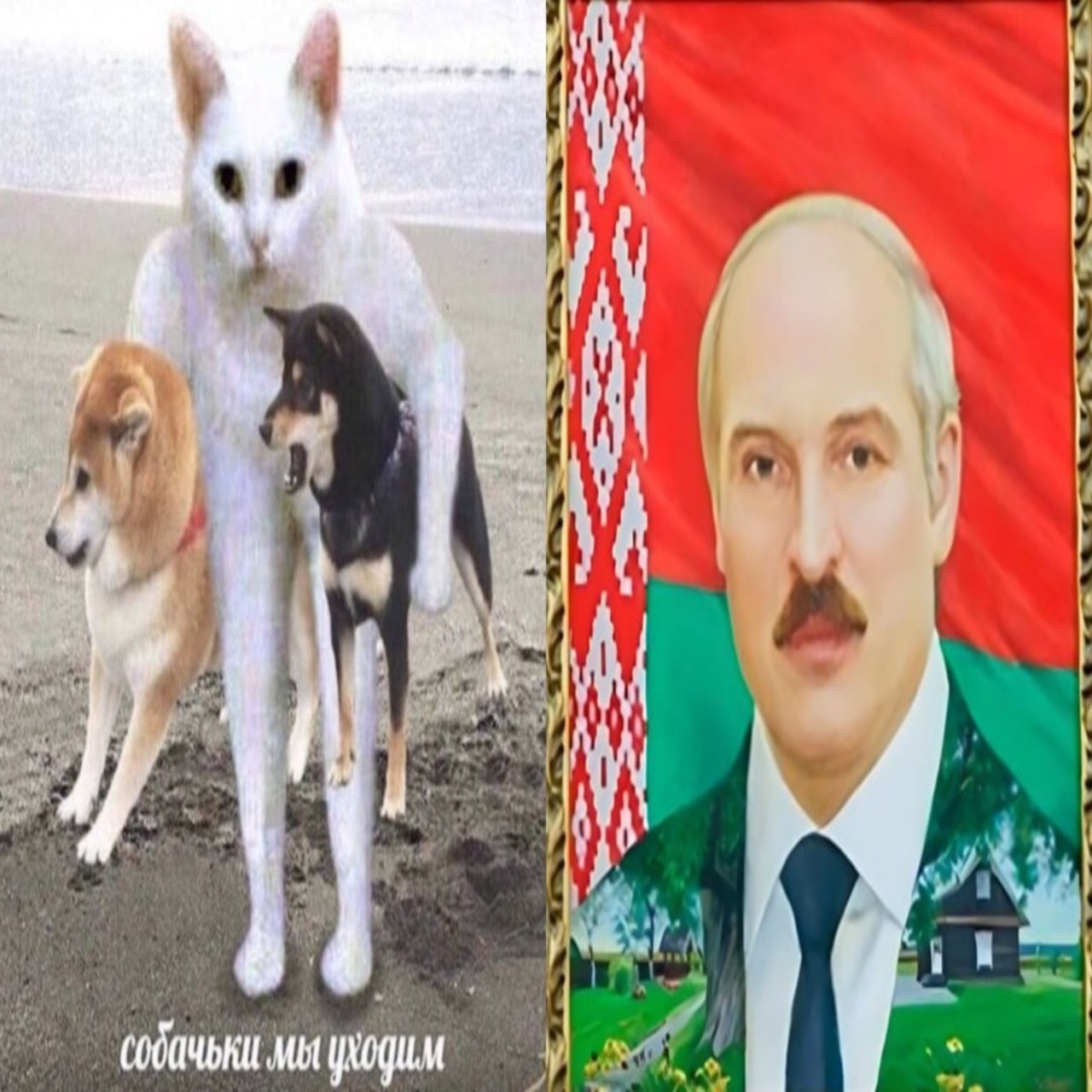 Веди собаку