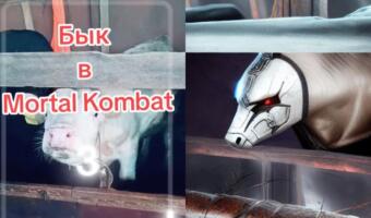 Фильтр Mortal Kombat AI делает из животных бойцов. На видео у коровы железная голова и глаз как у Кано