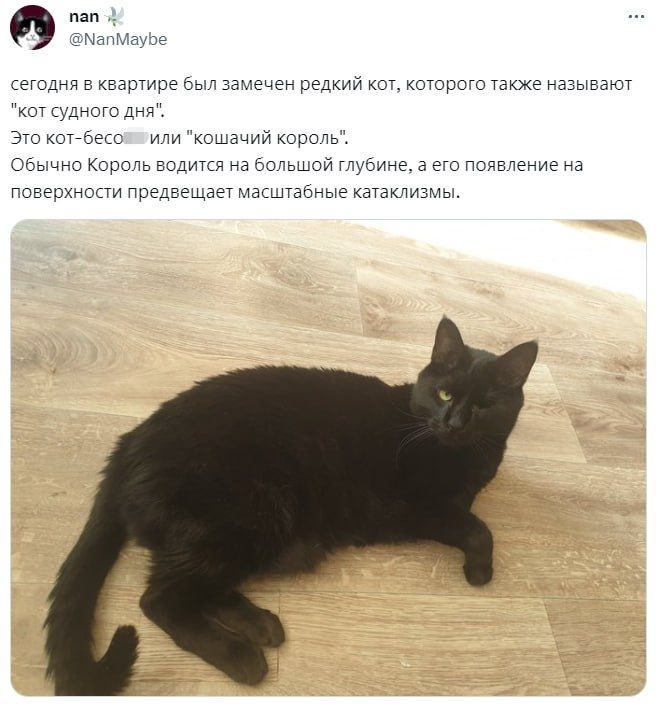 Сельдевой король фото