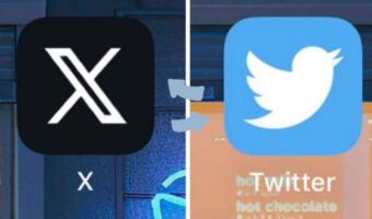 Как вернуть старую иконку твиттера вместо X на экран телефона. Владельцы айфоном борются с ребрендингом